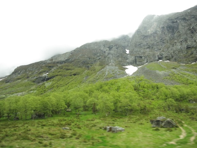 Hurtigruten_2015-06-18_14-31